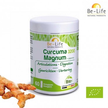 Curcuma magnum 3200 bio