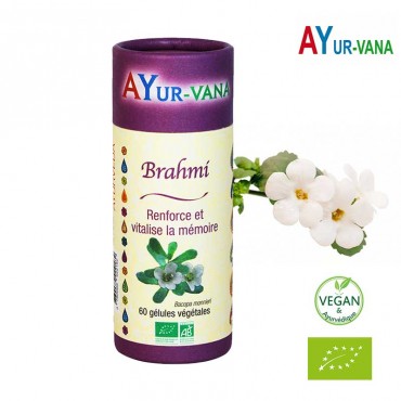 Brahmi Bio - Mémoire