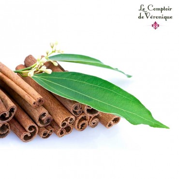 Cannelle de Ceylan Bio, Cinnamomum zeylanicum