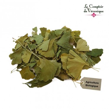 Ginkgo feuilles Bio