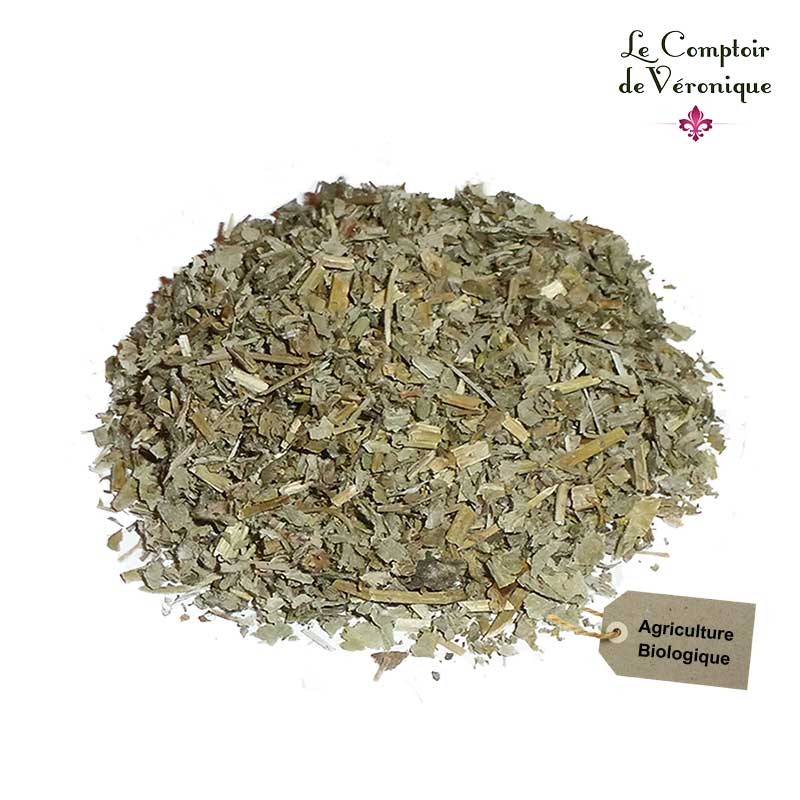 TISANE BIO ALCHÉMILLE (Alchemilla vulgaris)