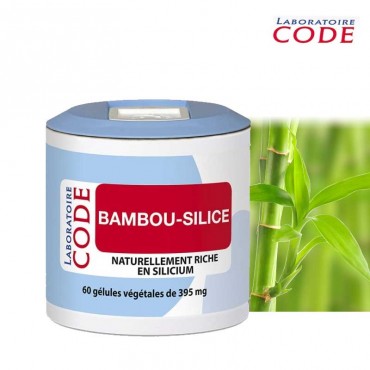 Bambou - Silice