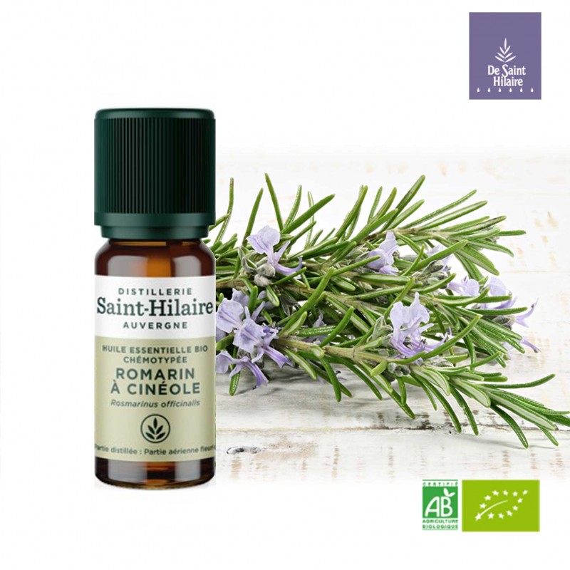 Romarin bio et Demeter – Rosmarinus officinalis