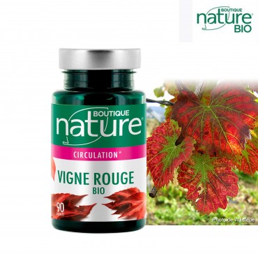 Vigne Rouge - Circulation