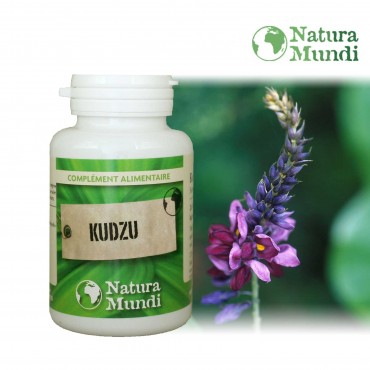 Kudzu