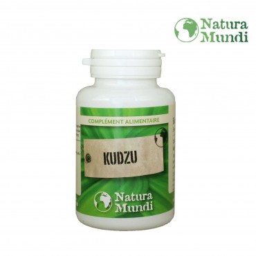 Kudzu