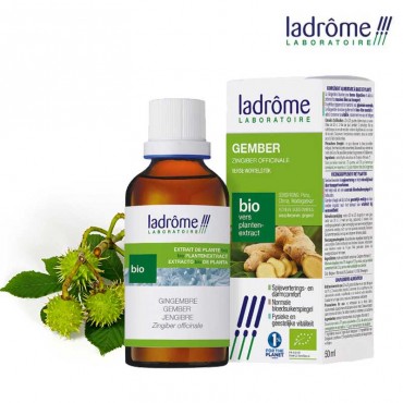Marronnier d'Inde Bio -...