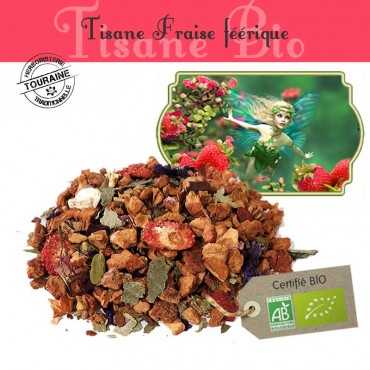 Fraise féérique bio -...