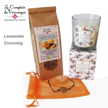 Ensemble Cocooning