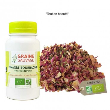 "Tout en beauté" Bourrache...