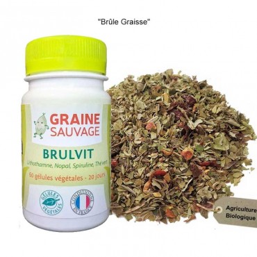 Brûle-graisses - Brulvit  +...