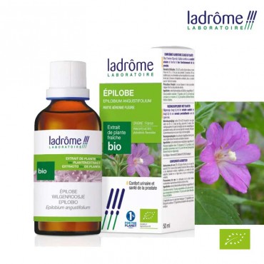 Confort Urinaire - Epilobe...
