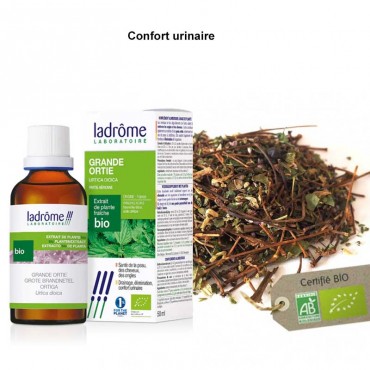 Confort urinaire - Grande...