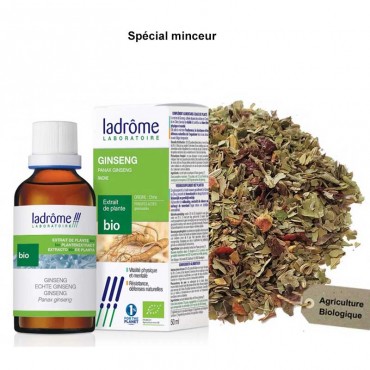 Minceur - Ginseng bio +...