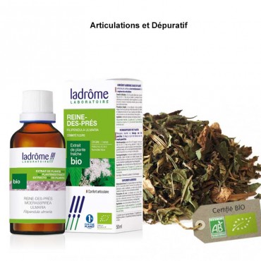 Articulations et Dépuratif...