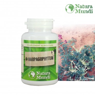 Harpagophytum bio