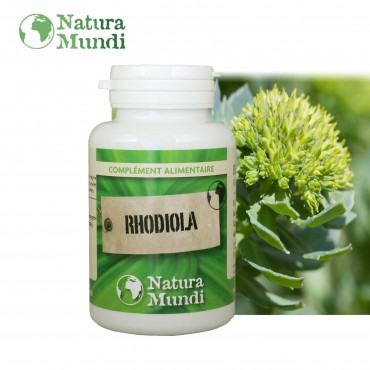 Rhodiola