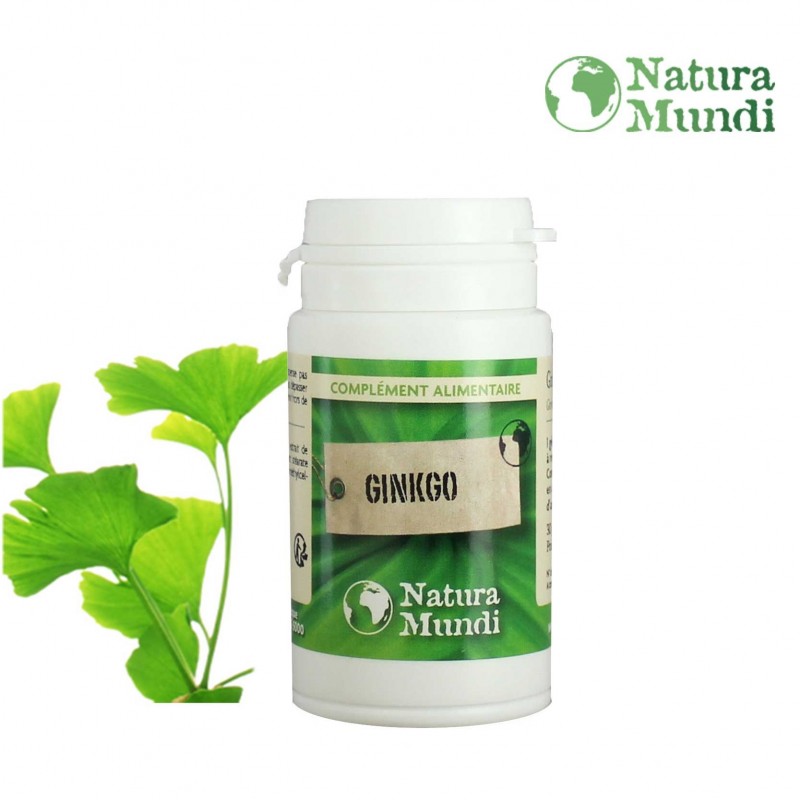 Ginkgo Biloba Ginkgo Biloba