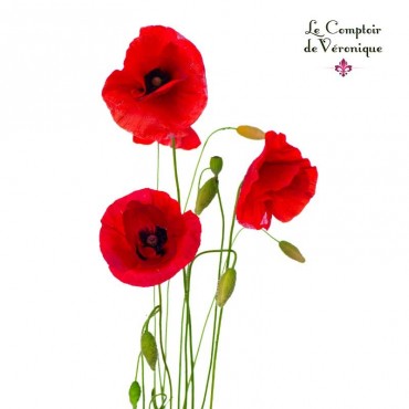 Coquelicot Fleurs Bio