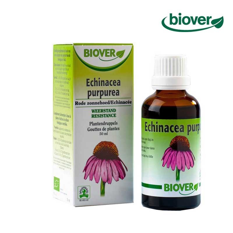 Teinture-mère de Echinacée bio Teinture-mère de Echinacée bio
