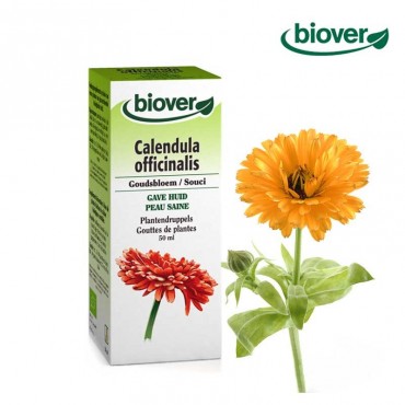 Teinture-mère de Calendula bio