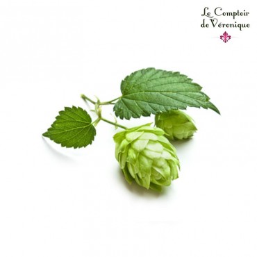 Houblon Cône entier Bio