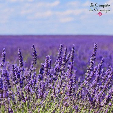 Lavande Fleurs Bio