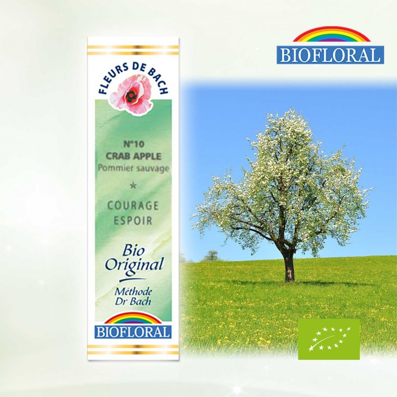 N°10 Pommier sauvage / Crab apple Fleur de Bach N°10 Pommier sauvage / Crab apple Fleur de Bach