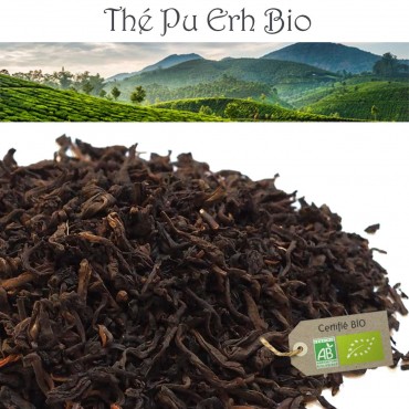 Thé Pu Erh Bio