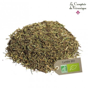 Serpolet Bio / Thym serpolet bio