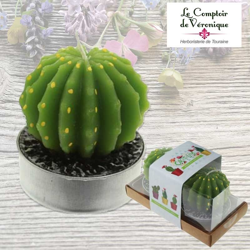 https://www.lecomptoirdeveronique.com/7562-large_default/lot-de-2-bougies-cactus-echinopsis.jpg