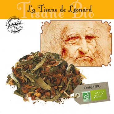 Tisane de Léonard bio - Orange