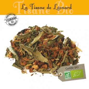 Tisane de Léonard bio - Orange