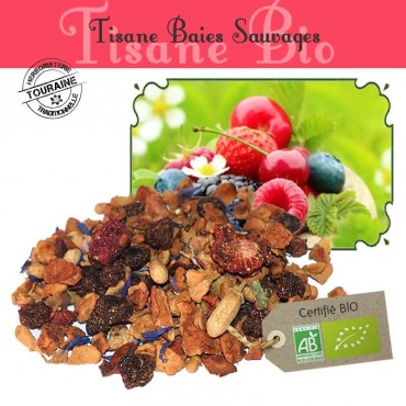 Tisane Baies sauvages Bio - baie sauvage framboise