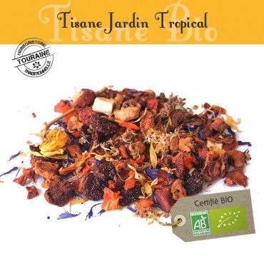 Tisane Jardin Tropical Bio - mangue