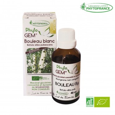 Macérat de bourgeons Bouleau blanc bio - 40 ml