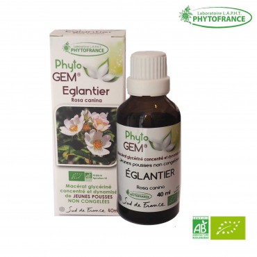 Macérat de bourgeons d'Eglantier bio - 40 ml