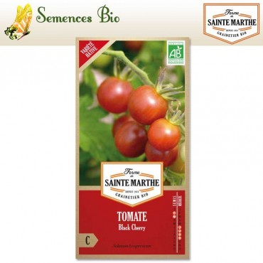 Tomate Black Cherry - semences bio