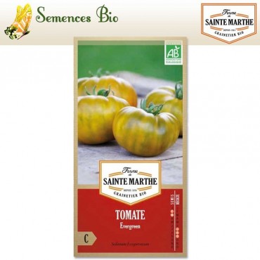 Tomate Evergreen - semences bio