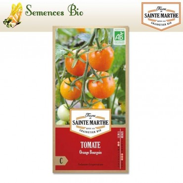 Tomate Orange Bourgoin - semences bio
