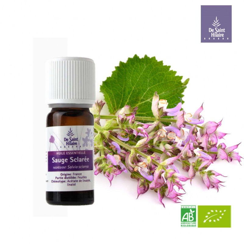 Huile essentielle Sauge Sclarée Bio HECT Salvia sclarea