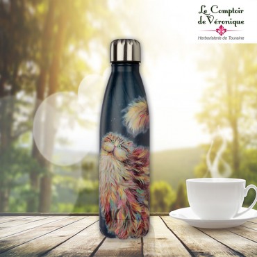 Bouteille Inox Isotherme -...