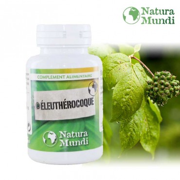 Eleutherocoque bio