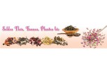 Soldes Thés, Tisanes, Plantes bio